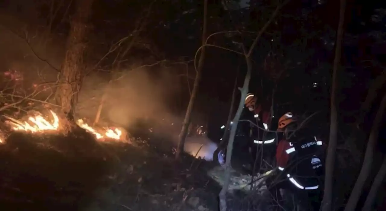 대구 앞산 산불로 4ha 태워…“잔불 정리 중, 입산 삼가주세요”