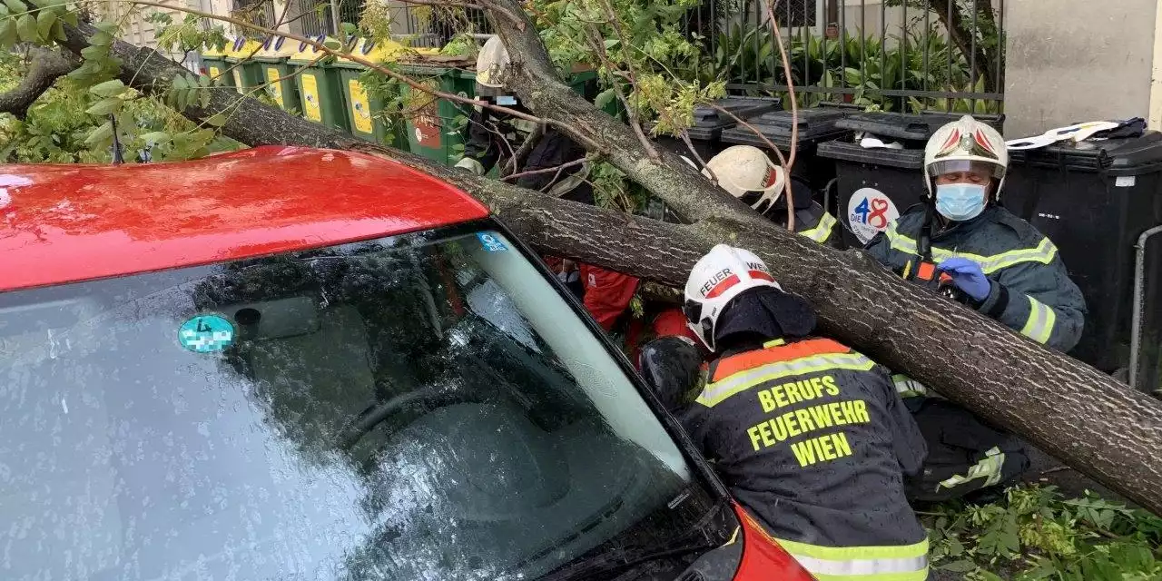 Bis zu 133 Sekunden warten bei Wiens Feuerwehr-Notruf