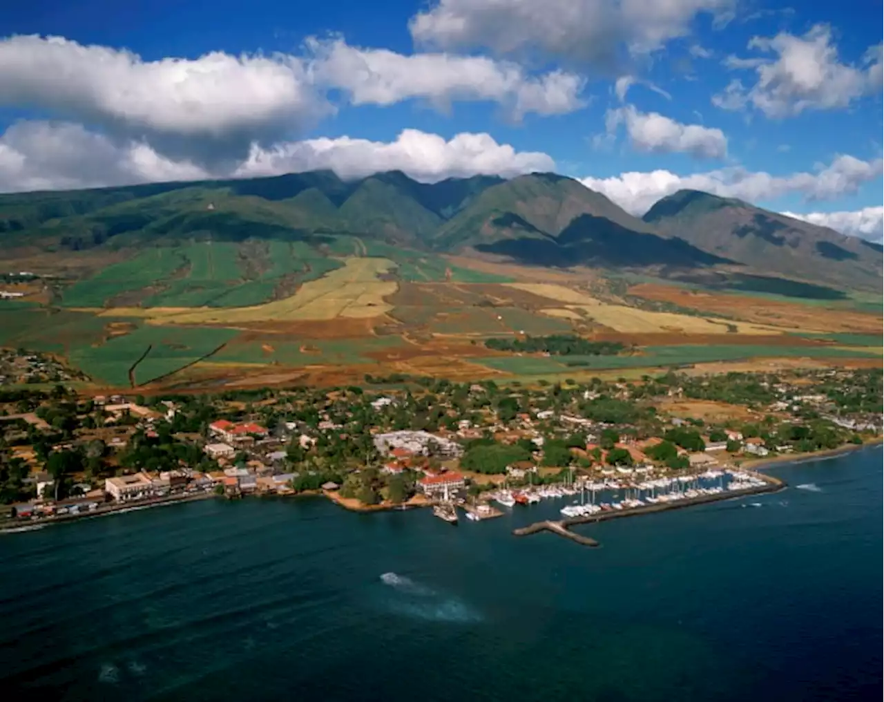 Couple on Hawaii honeymoon says snorkeling tour group abandoned them in the ocean