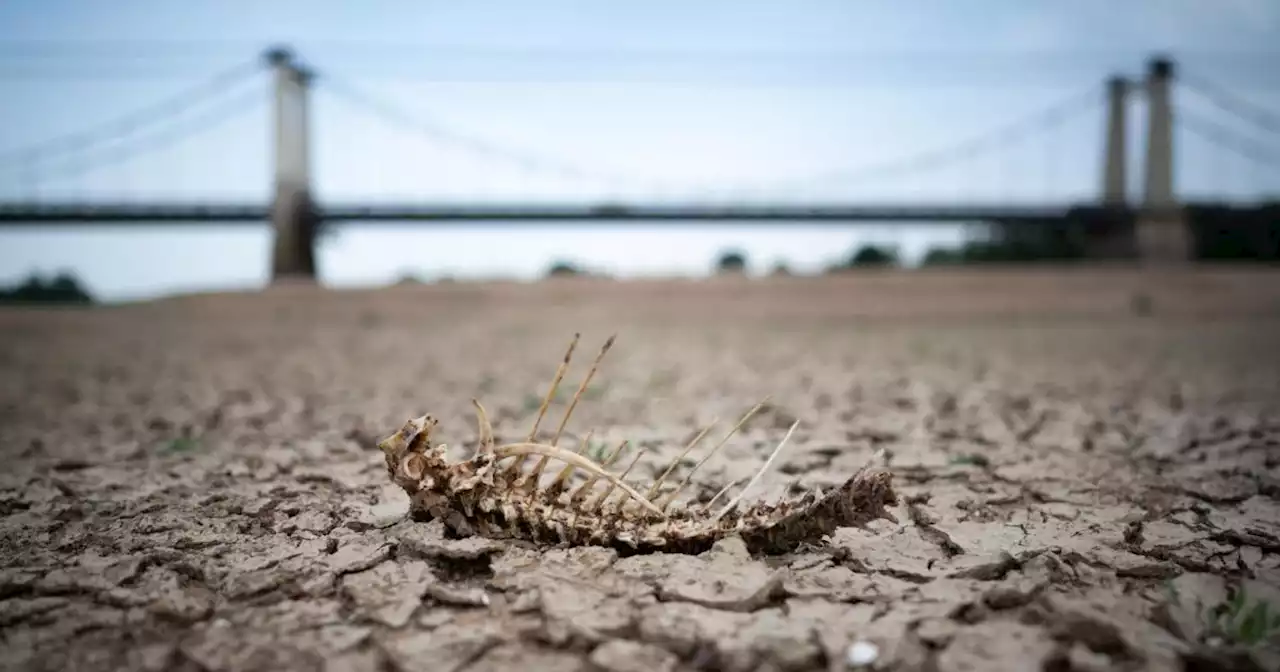 Winterdürre: Was die Wasserkommissionen jetzt den Bürgern vorschreiben