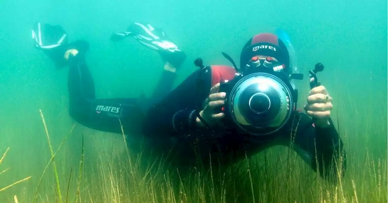 Vaucluse : Yannick Gouguenheim, comme un poisson dans l'eau