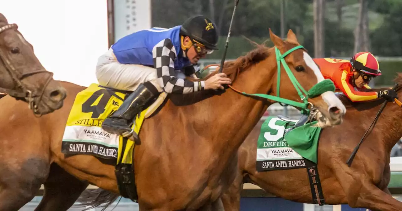 Stilleto Boy wins the Santa Anita Handicap for trainer Ed Moger Jr.