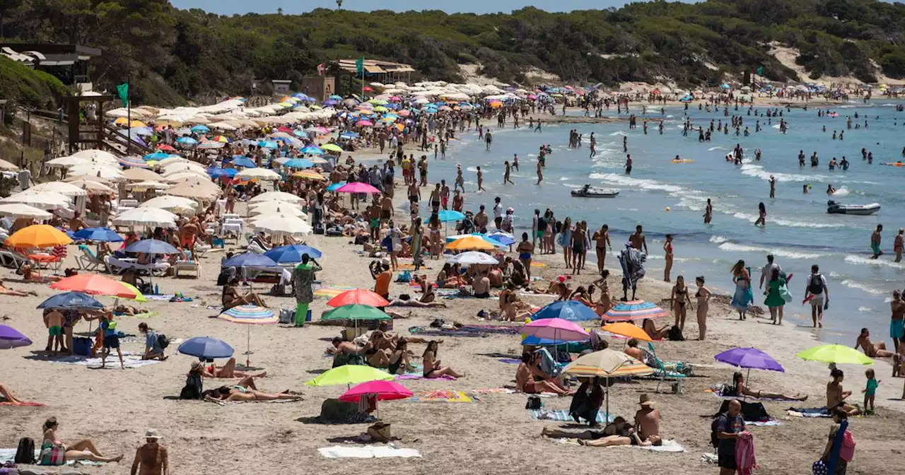 Spain issues warning to British travellers after dengue fever outbreak