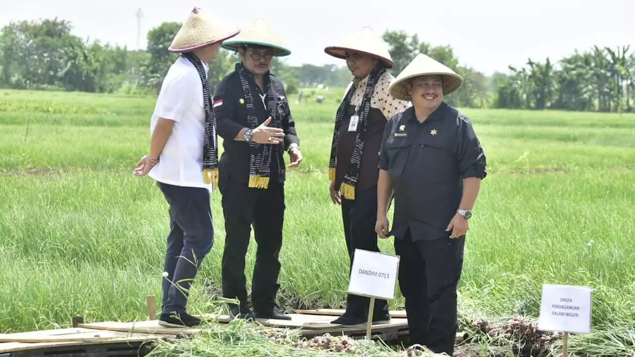 Panen Raya, Mentan SYL dan Wamendag Lepas Pasokan Bawang Merah ke Ibu Kota