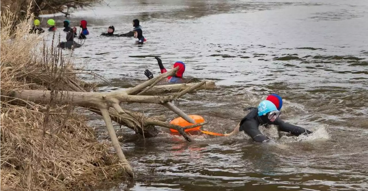 Beim Winterschwimmen der Wasserwacht trotzten 59 Teilnehmer den eiskalten Fluten