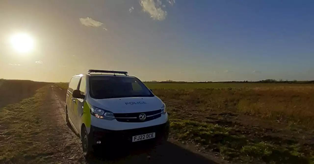 Sheep attacked and butchered in string of rural crime offences