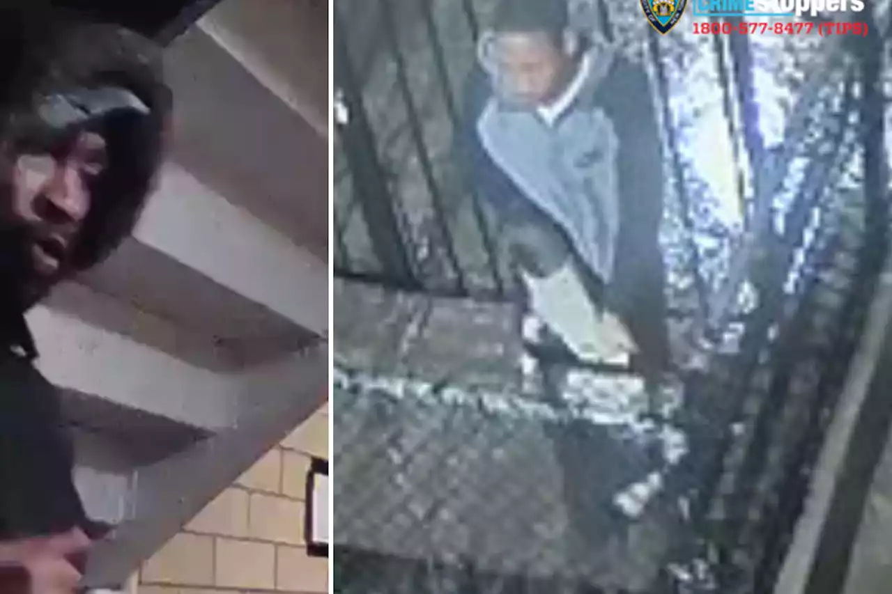 Woman forced into NYC stairwell, raped by stranger: NYPD