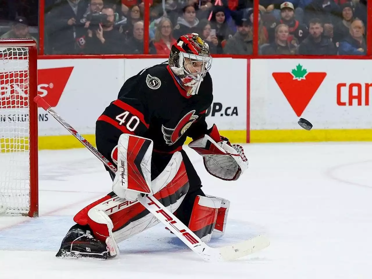 Warrens Piece: Mads Sogaard readies for challenge, Hamonic finds the range and big deliveries for Senators big line