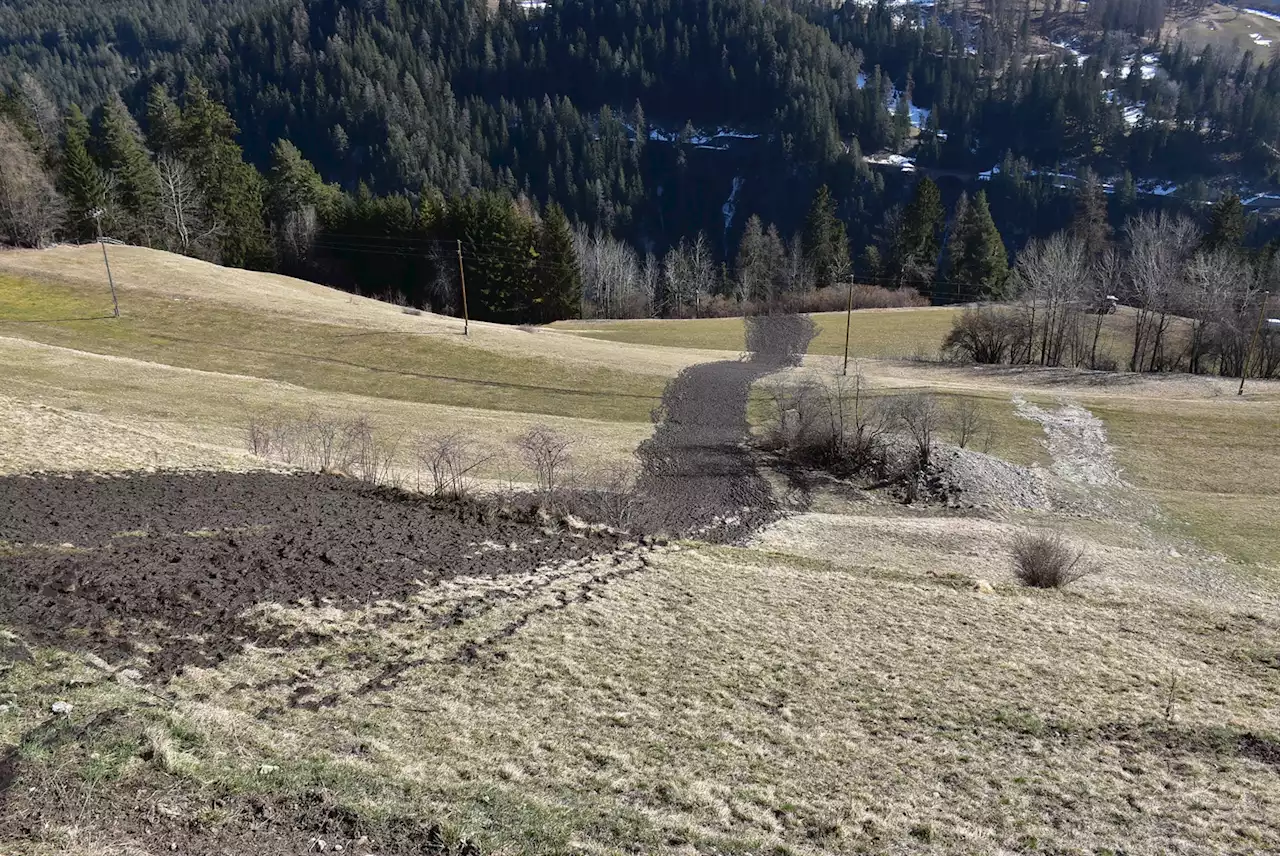 Schmitten Albula GR: Gewässerverschmutzung durch Jauche