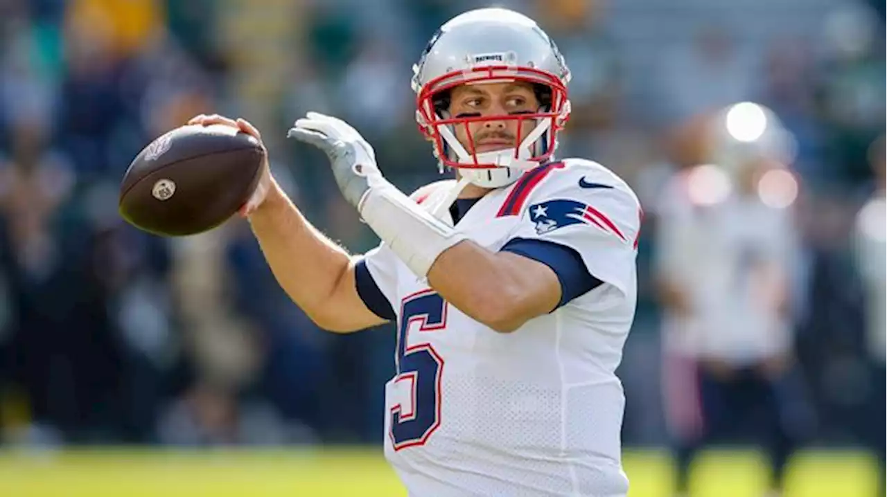 NFL - New England Patriots: Quarterback Brian Hoyer vor dem Aus