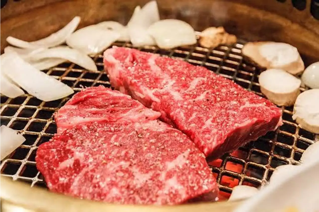 Sapi Wagyu Halal yang Makin Diminati |Republika Online