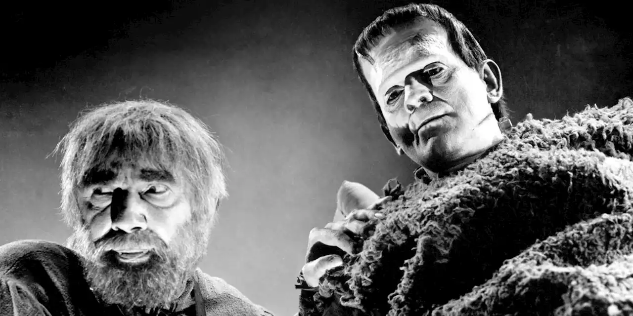 Every Boris Karloff & Bela Lugosi Movie, Ranked