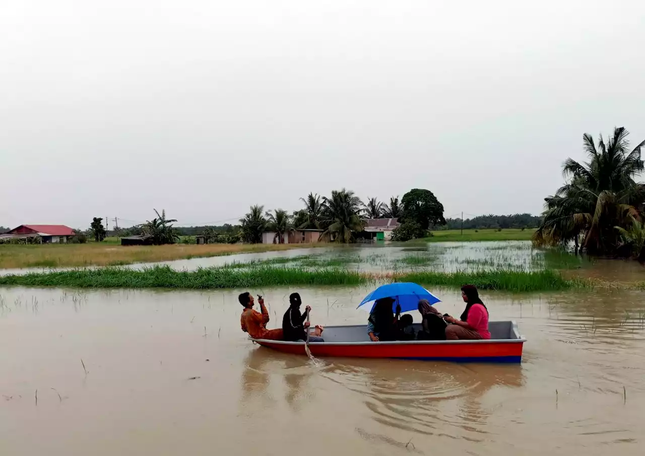 Floods: Padi fields in Sungai Rambai, Melaka, inundated