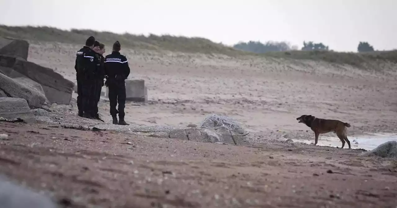 Cocaïne échouée sur les plages de la Manche : encore 30 kilos trouvés à Cherbourg