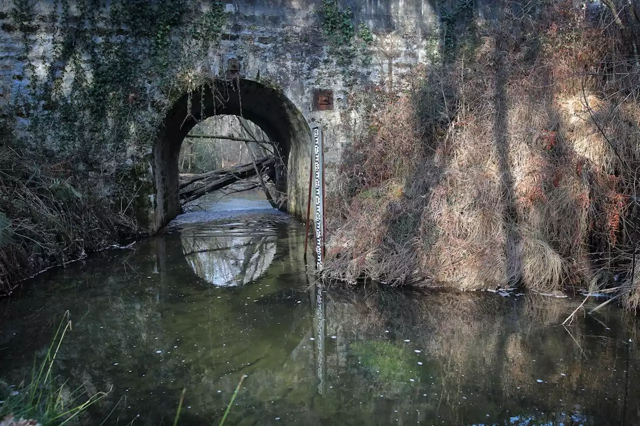 La sécheresse en images : entre Gironde et Landes, la vallée de la Leyre en quête de pluie