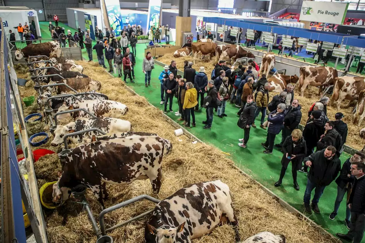 Salon de l’agriculture : une fréquentation en hausse et quelques avancées