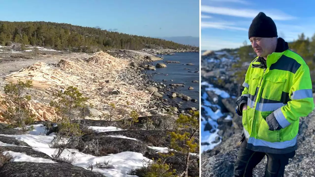 Snart är kusten utanför Härnösand städad – det ska hända med virket