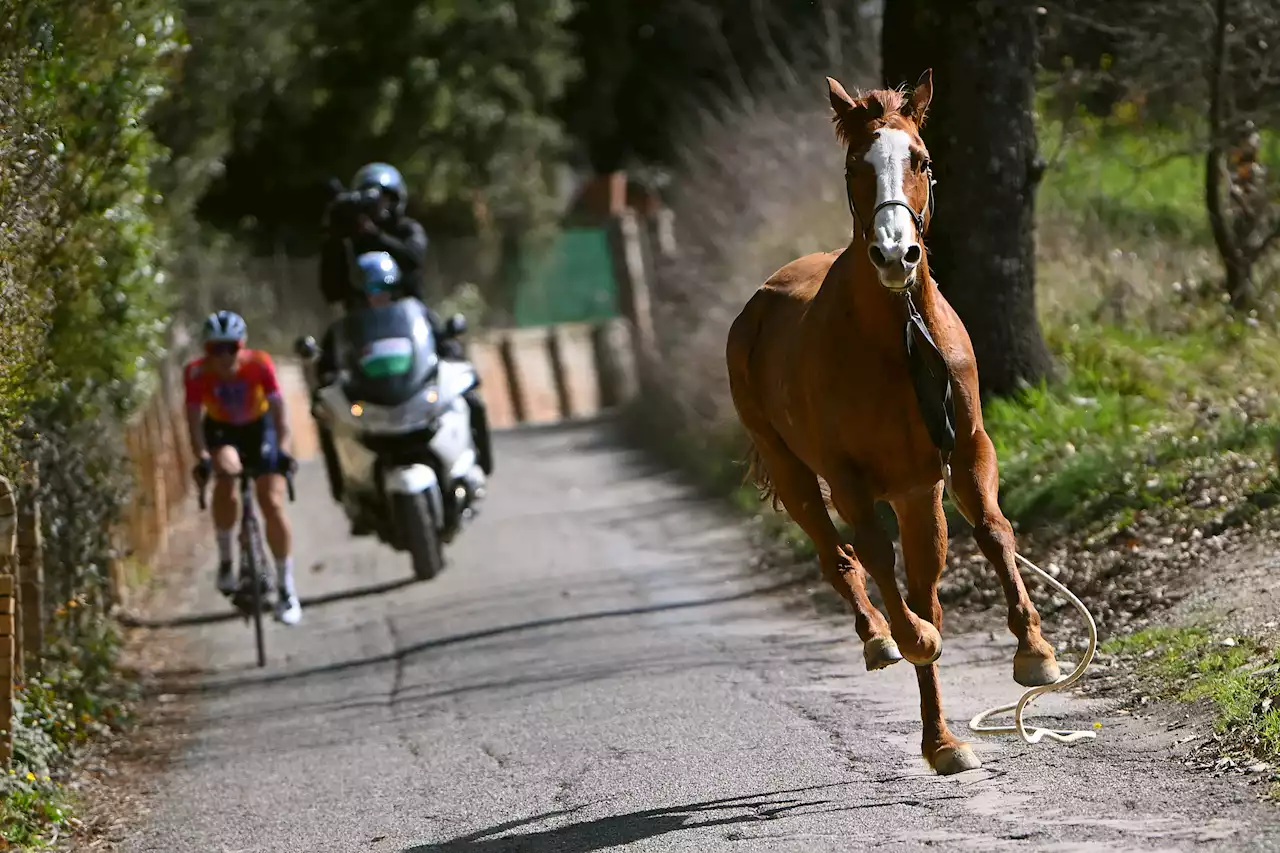 Stampeding horse bolts into Strade Bianche cycling race causing chaos