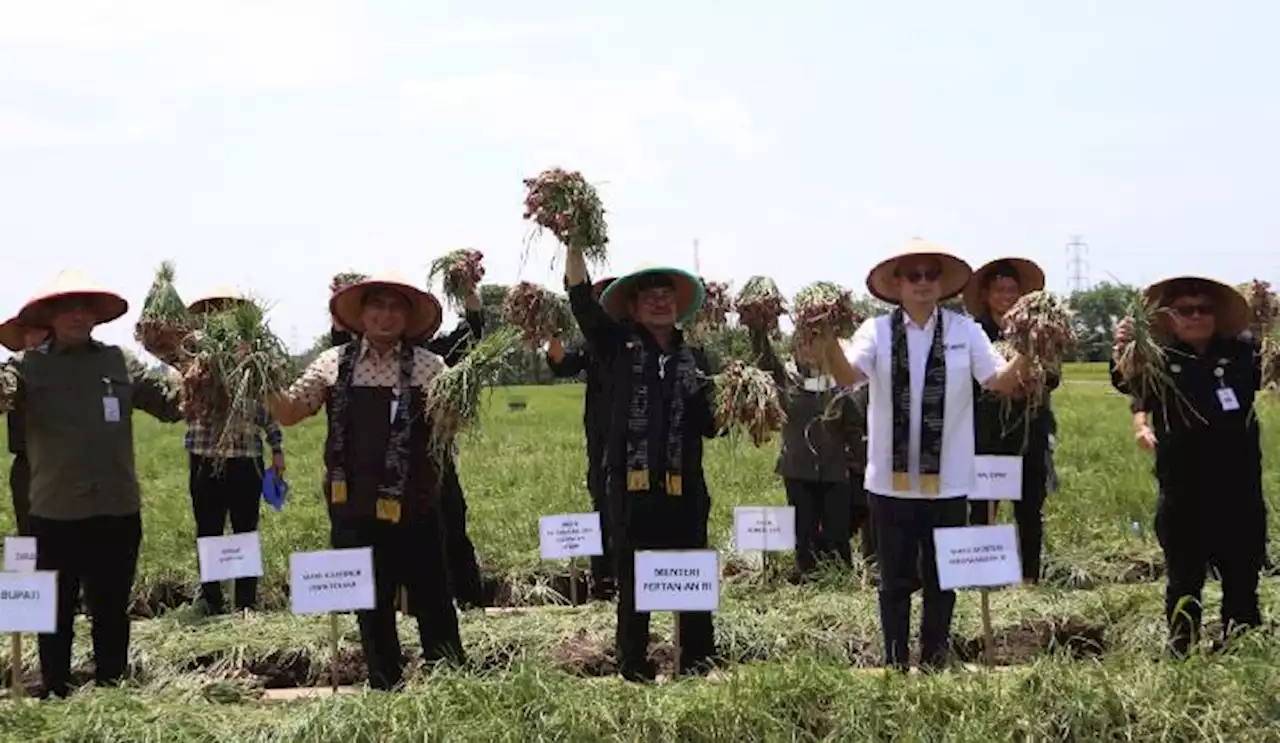 Mentan dan Wamendag Lepas Pasokan Bawang Merah Brebes