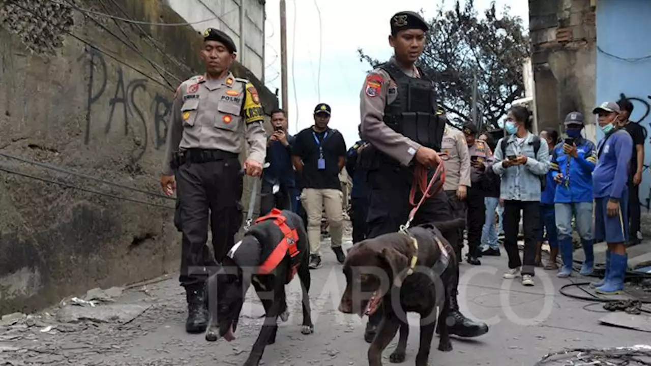 Polisi dan Anjing Pelacak Sisir Rumah Warga Tanah Merah di Depan Depo Pertamina Plumpang