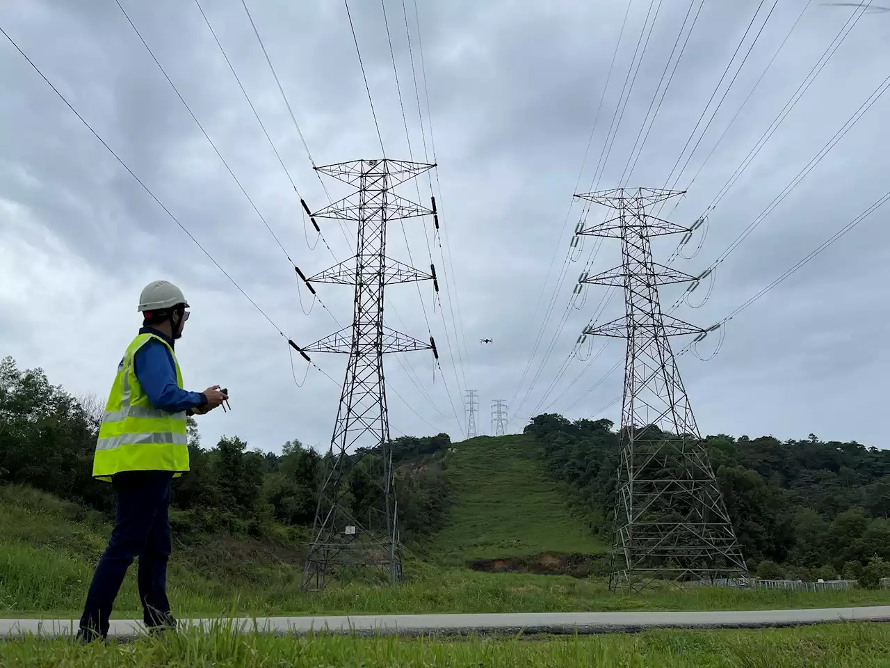 TNB bangun sistem THySIS, lindung hutan simpan