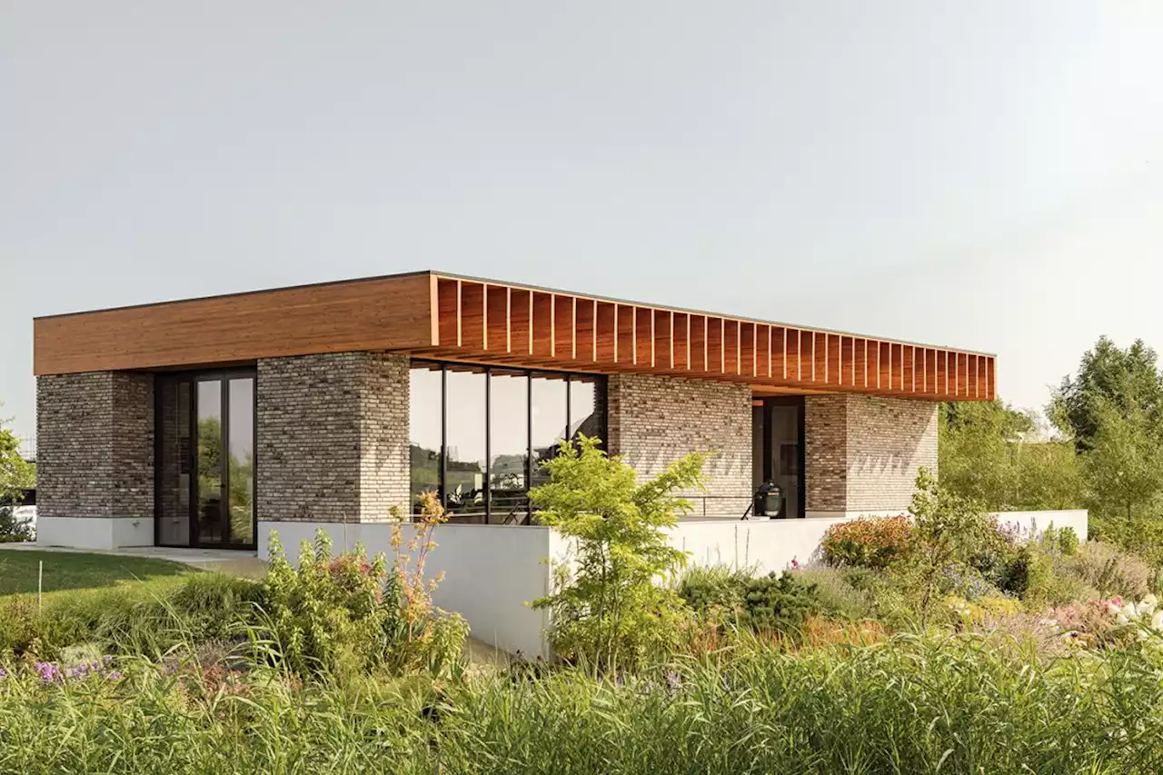 Rotterdam House is a sustainable home with a defining timber roof