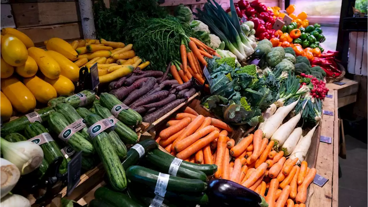 Gurken für 3,29 Euro: Das steckt hinter den irren Gemüse-Preisen im Supermarkt