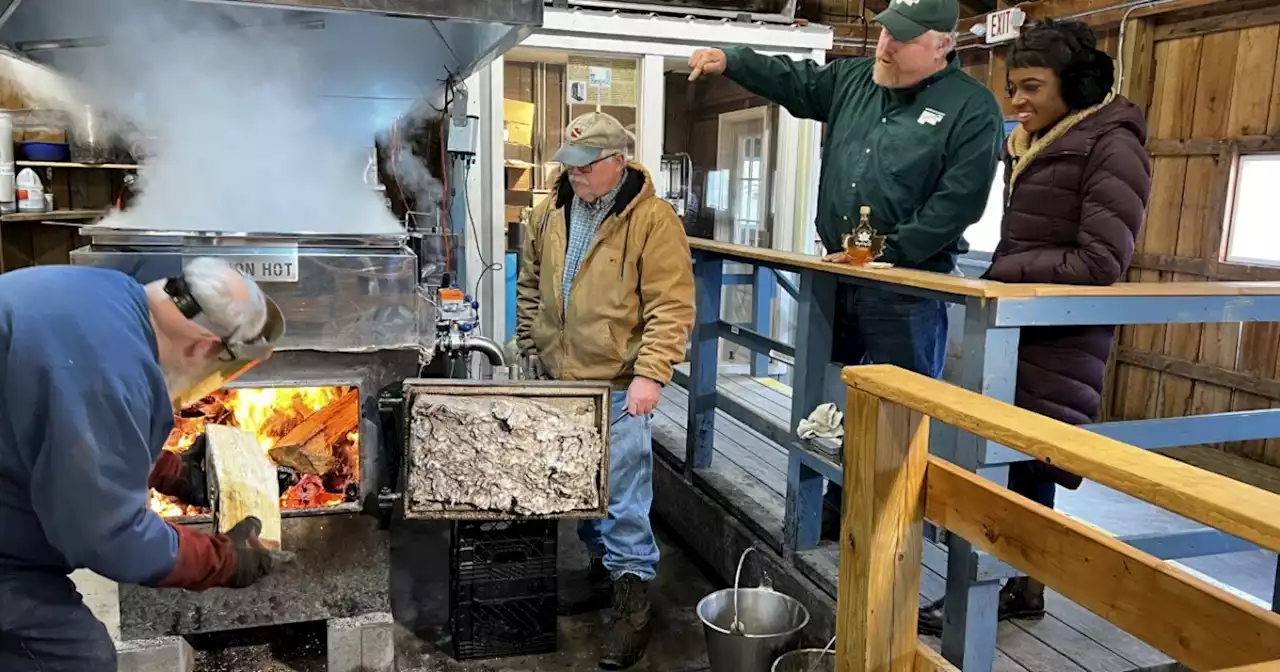 Maple sugaring off to great start at Lake Metropark Farmpark