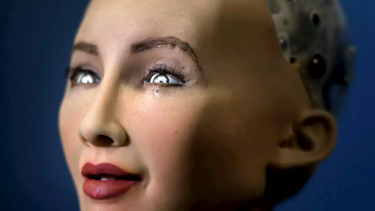 The agony of Sophia, the world's first robot citizen condemned to a lifeless career in marketing