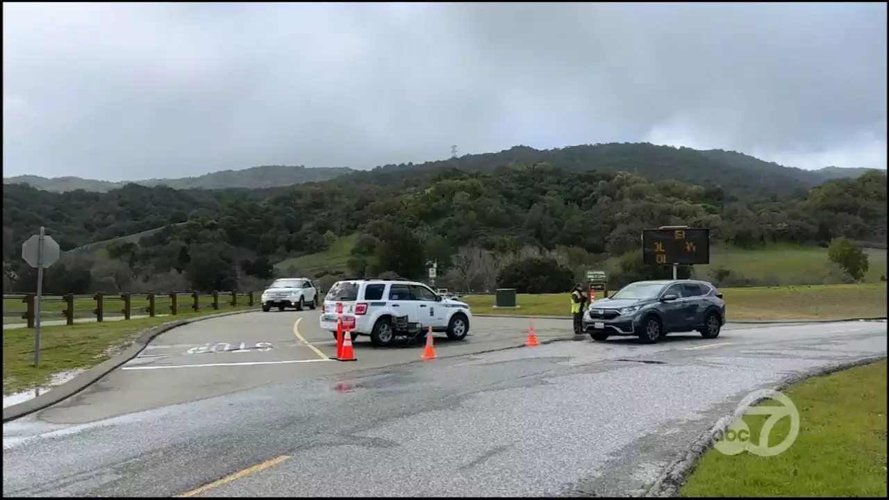 Hiker killed by fallen tree in South Bay was parent at planned event, Boy Scouts executive confirms