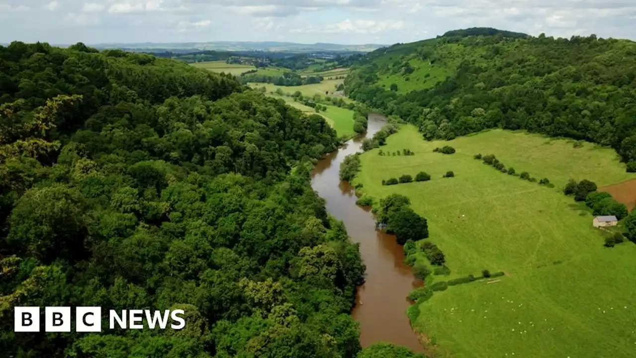 Plea for wildlife sightings in Herefordshire