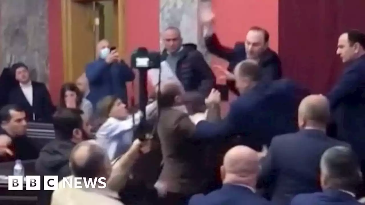 WATCH: Brawl kicks off in Georgian parliament