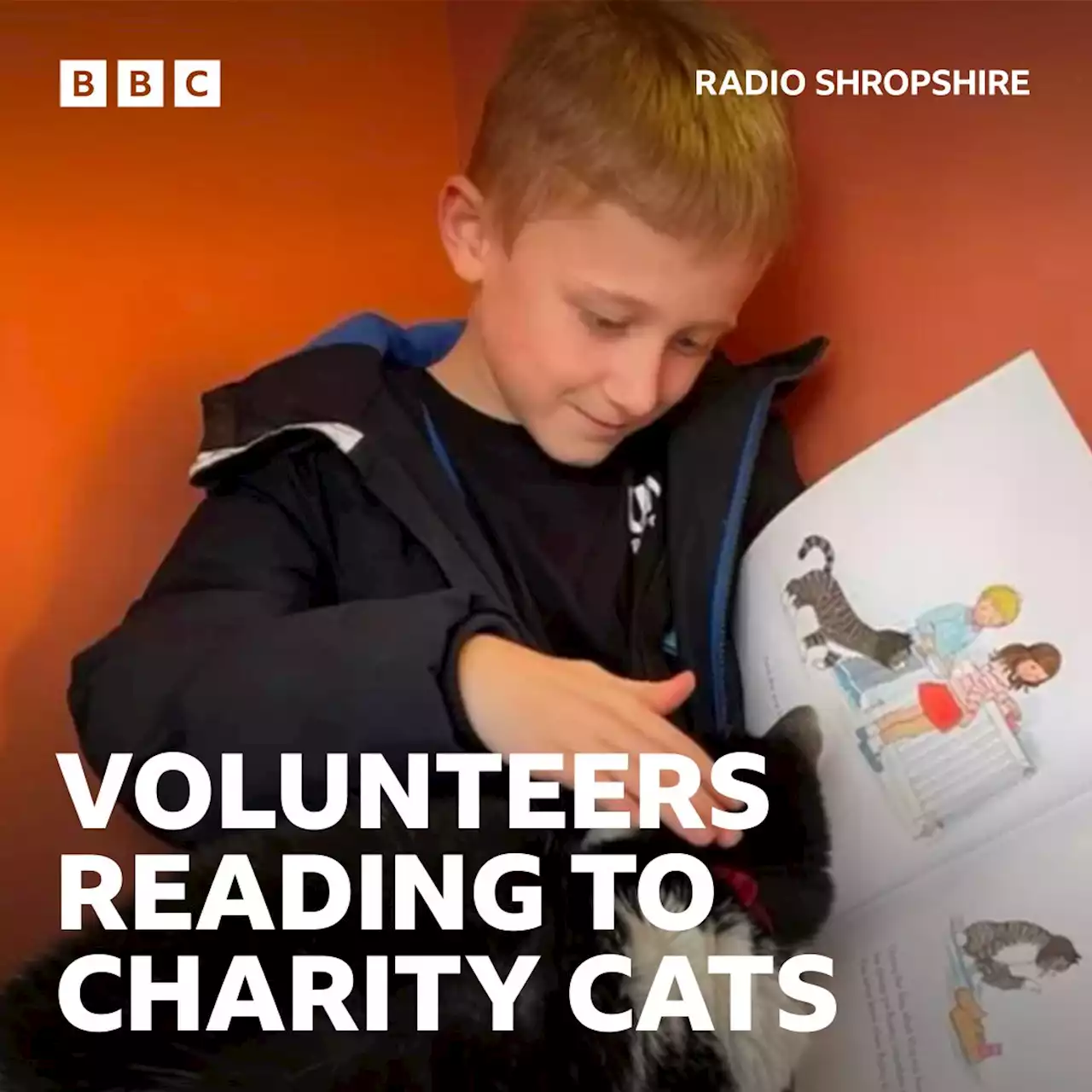 Visitors read stories to Shropshire charity's retired cats