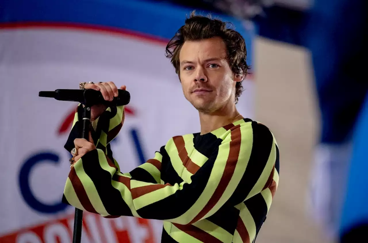 Harry Styles Uploads and Deletes Photo Wearing One Direction Shirt, Fans Freak Out