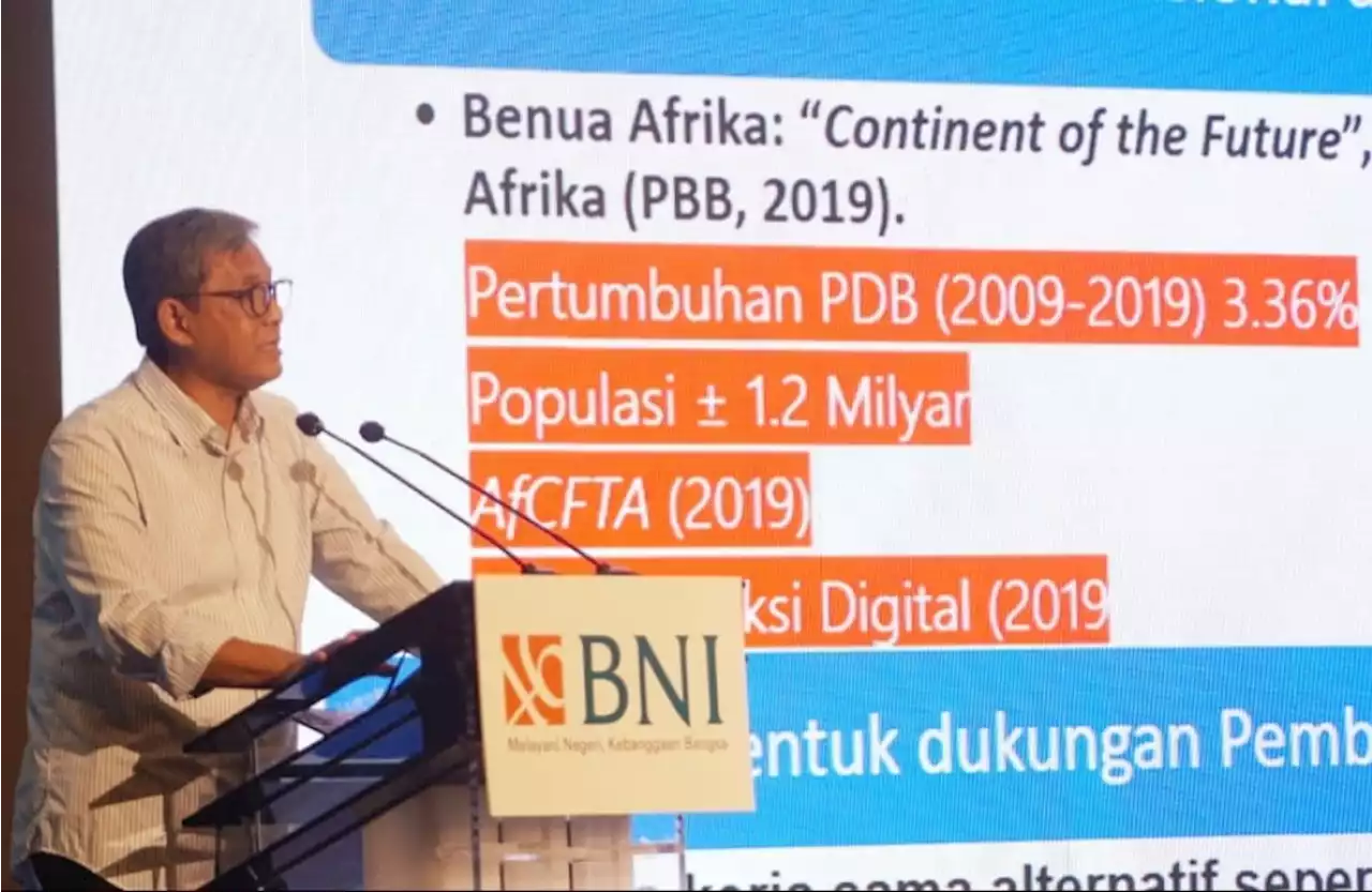 Afrika Disebut Benua Masa Depan untuk Pertumbuhan, BNI Ambil Peluang