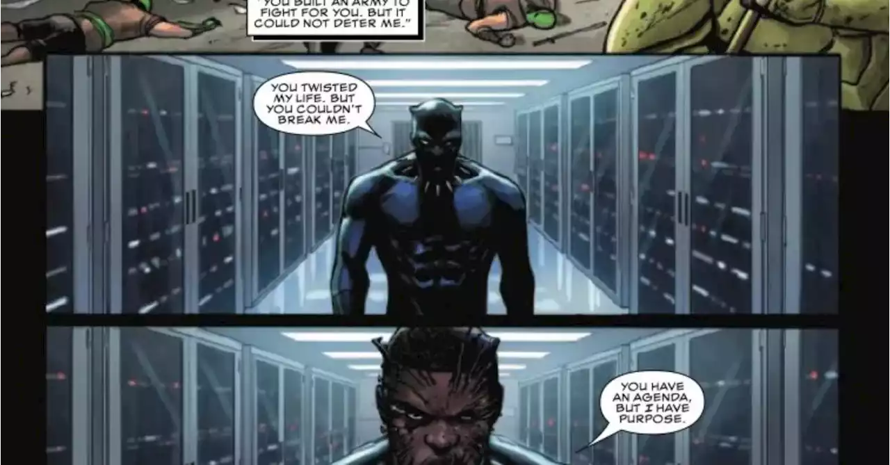 Black Panther #15 Preview: Series Finale Already?