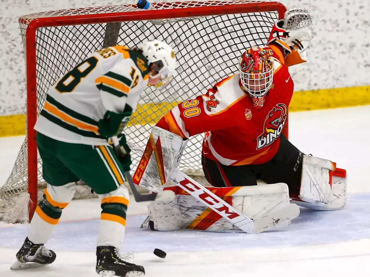 CAMPUS ROUNDUP: Dinos rally to win Canada West men's hockey title