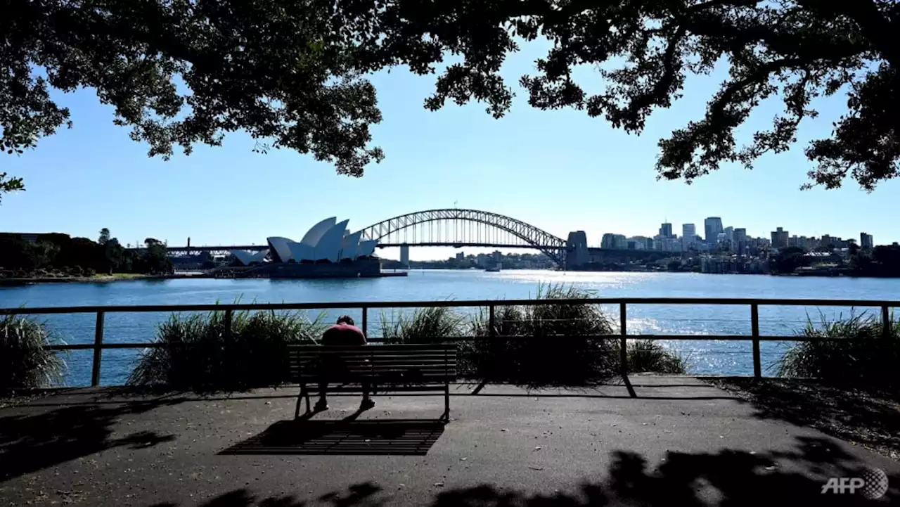 Sydney set to swelter through hottest day in more than two years