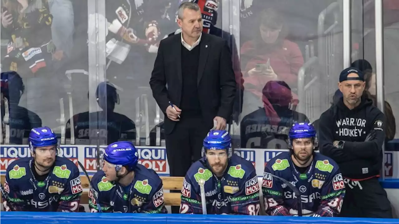 Neuer Eishockey-Bundestrainer Nutznießer von Eisbären-Frust