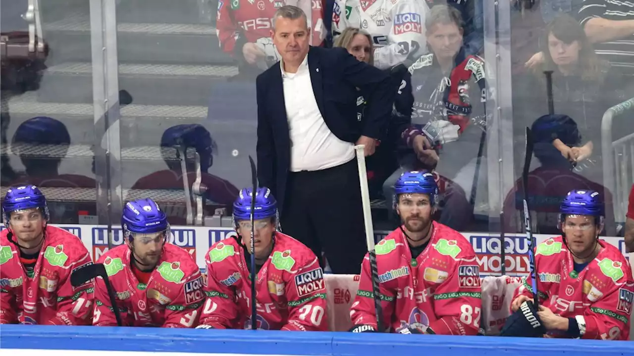 Eisbären-Boss: „Wir stehen genau da, wo wir hingehören“