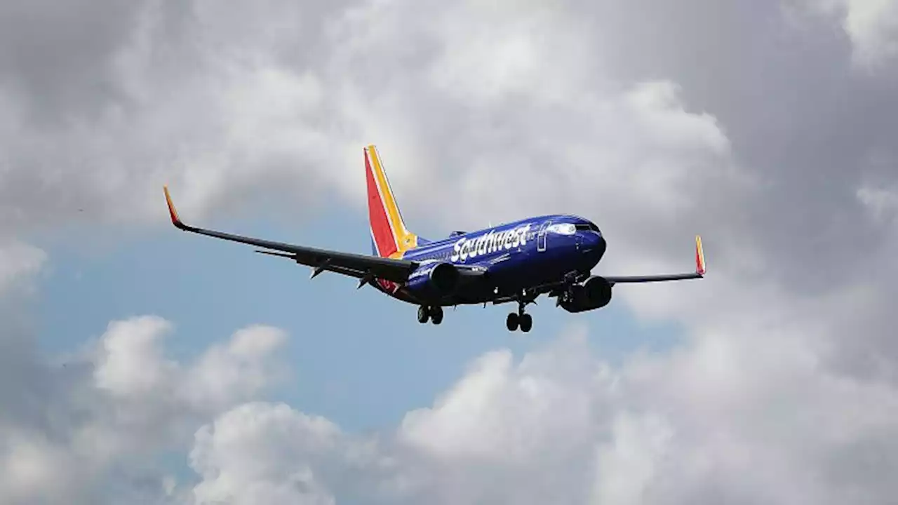 Southwest flight to Ft. Lauderdale returns to Havana after issue due to bird strikes, airline says | CNN