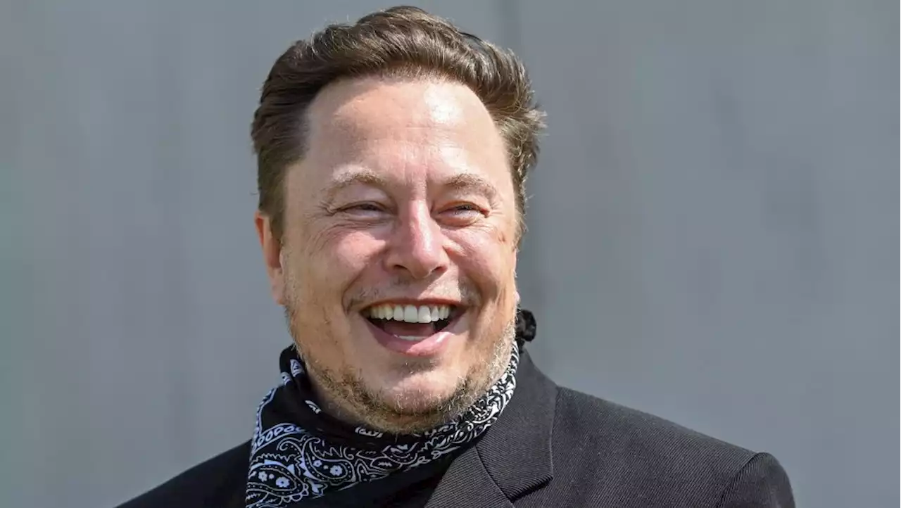 Elon Musk Mocks The BBC For Claiming That Twitter Can No Longer Protect Users From Trolls