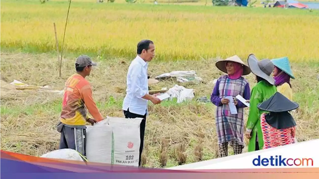 Pabrik Pupuk Bakal Dibangun di Papua Barat, Ini Pesan Jokowi