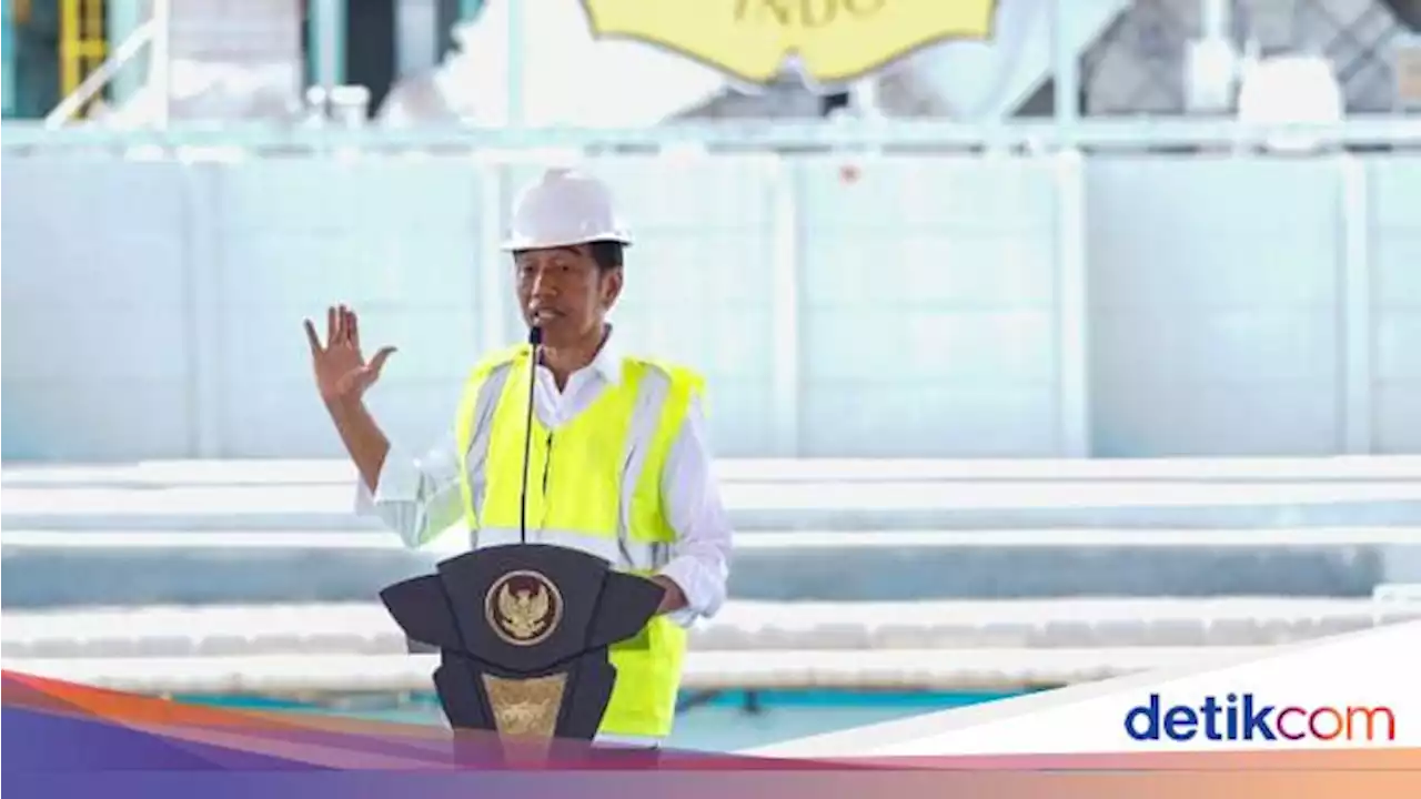 Respons Keluhan Petani, Jokowi Ungkap Biang Kerok Pupuk Mahal