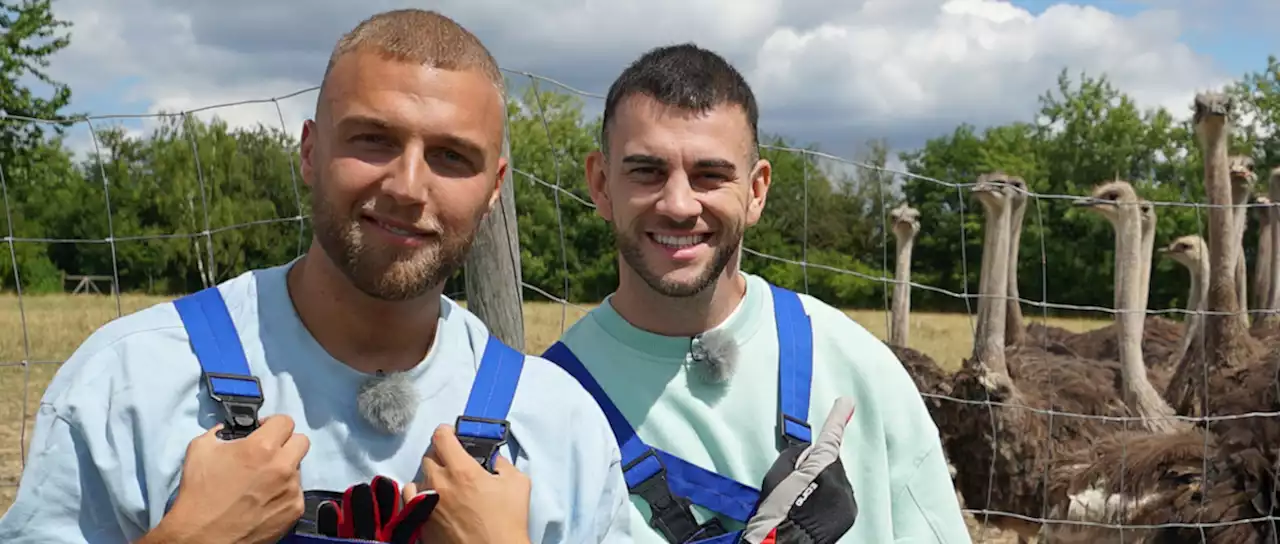 Filip und Serkan zeigen ihr Können bald auch bei TLC - DWDL.de