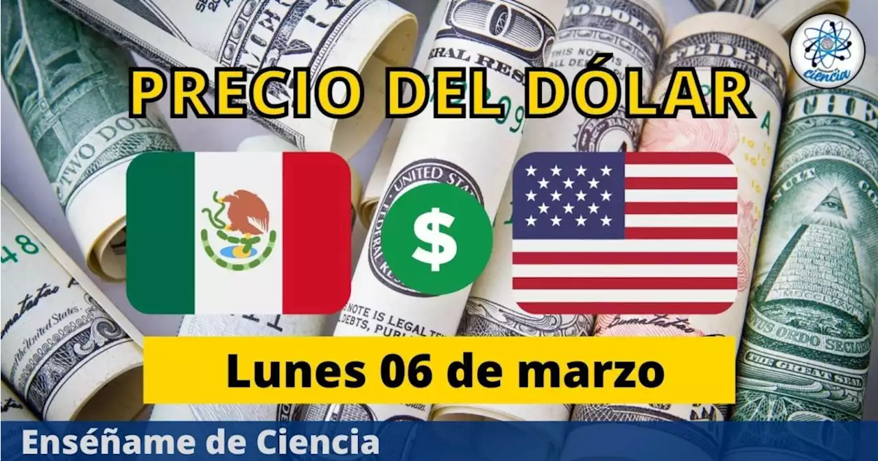 Precio del dólar hoy lunes 6 de marzo, ¿cómo amaneció el tipo de cambio en México?