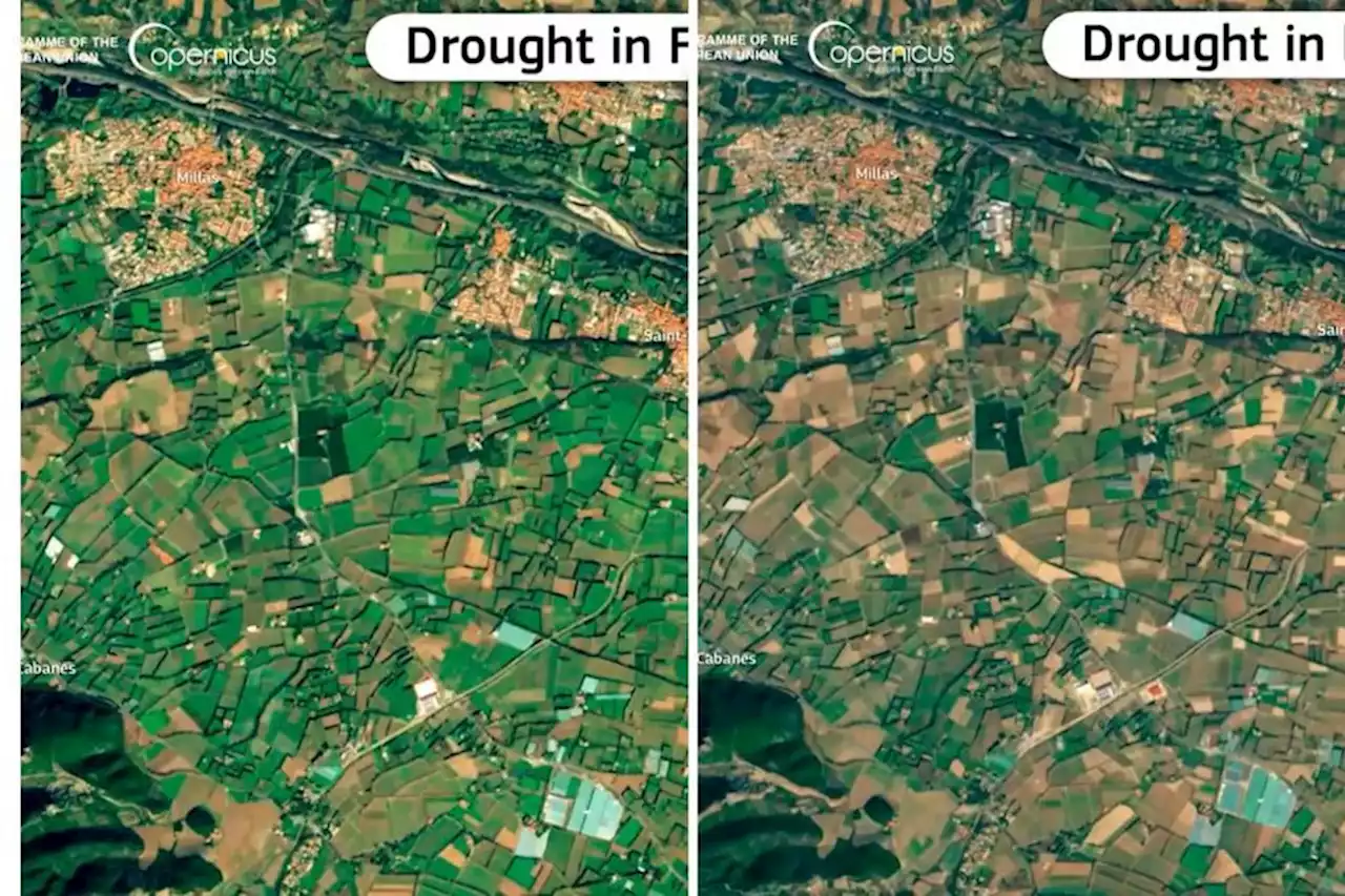 Sécheresse : les photos satellites impressionnantes qui montrent comment le manque d'eau a transformé le paysage