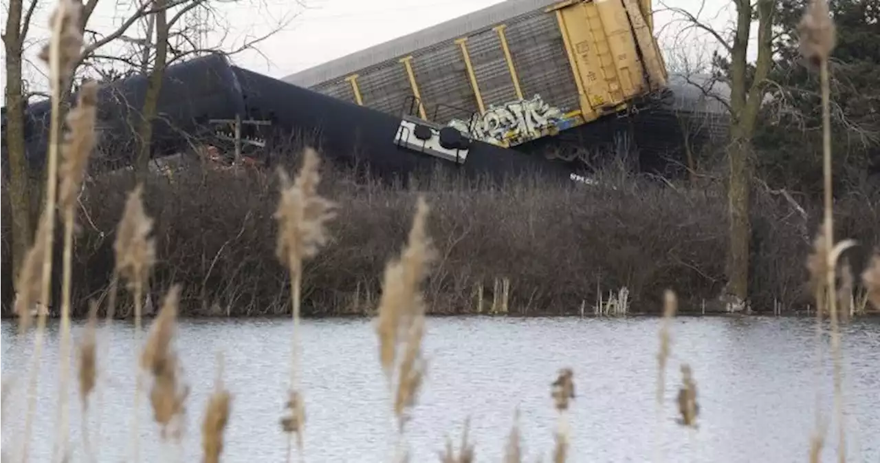 Ohio train derailment: No risk to public from latest crash, officials say - National | Globalnews.ca