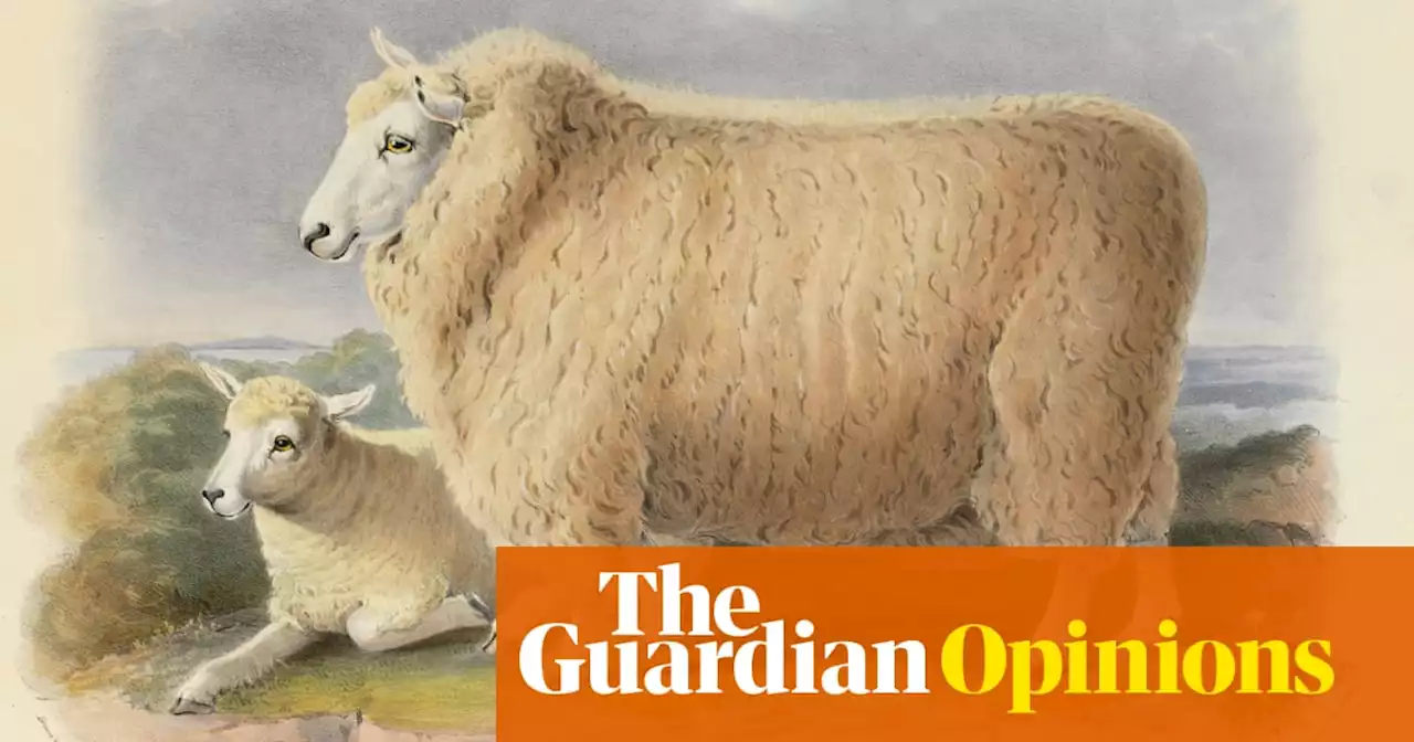 A sheep: the mascot of changing seasons | Helen Sullivan