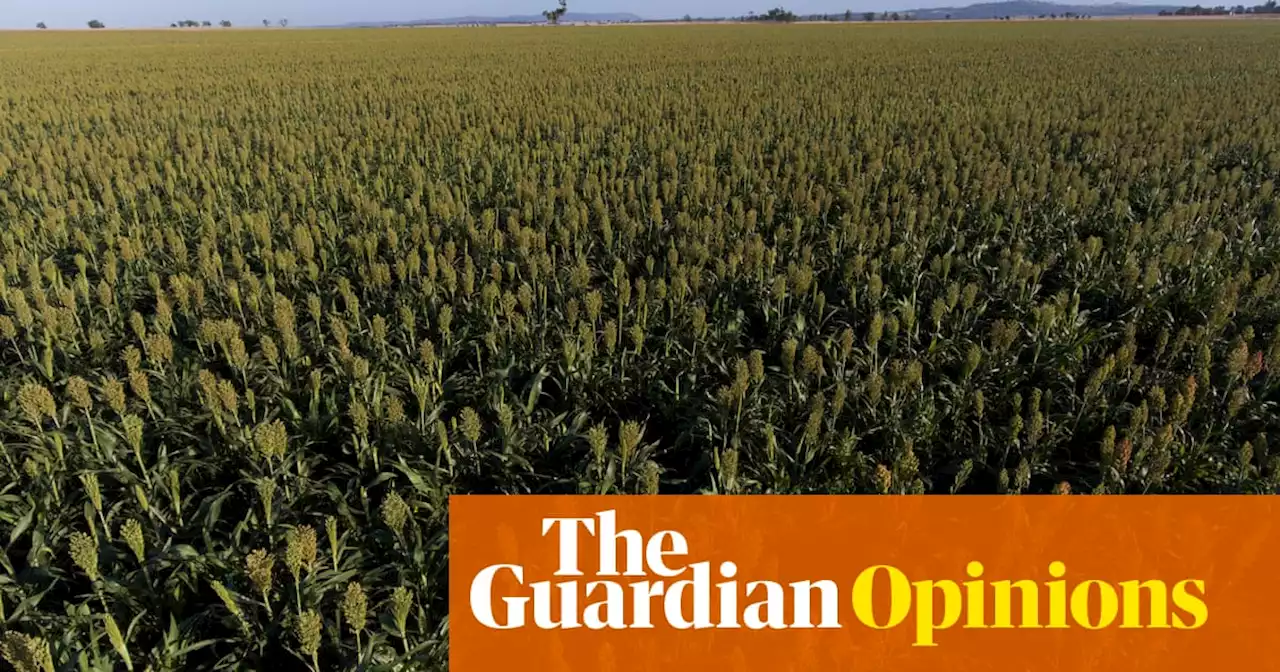 Australia’s drought planning should begin now, not when the rain dries up | Gabrielle Chan